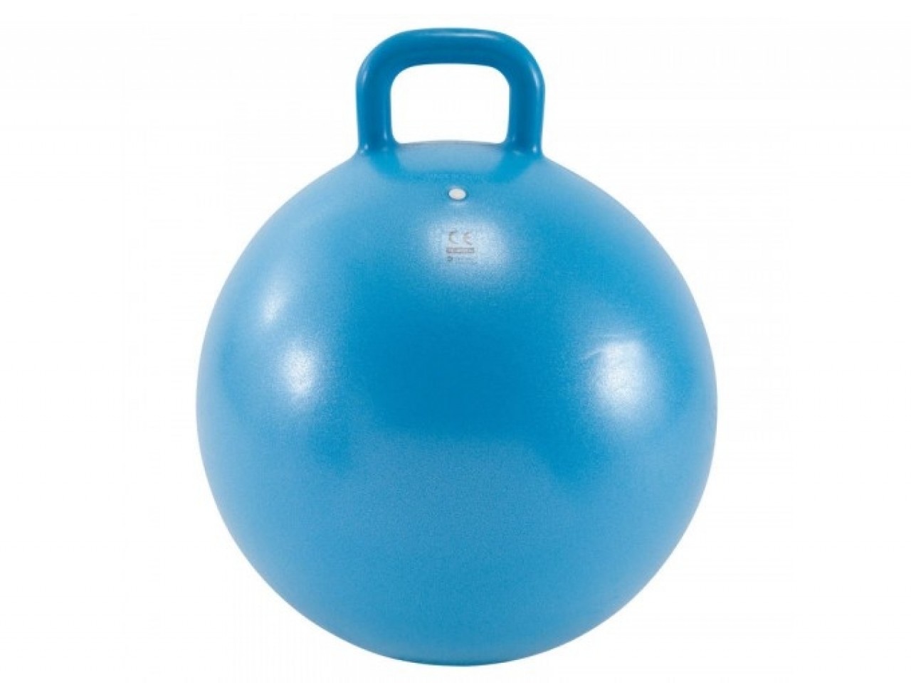 KIDS` GYM HOPPER BALL RESIST 45 CM